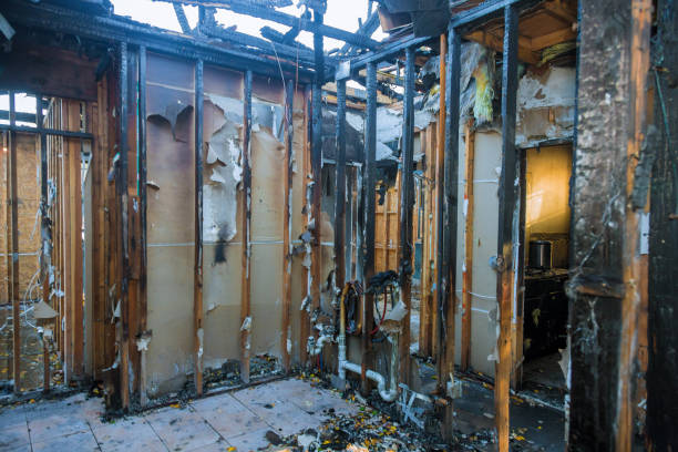 Professional Odor Removal technician working in Twin Lakes, CA